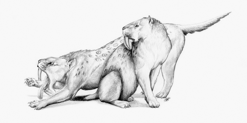 Illustration from the book showing how the pouch-knife may have looked in life. It was about as large as a modern-day jaguar (Renata Cunha)